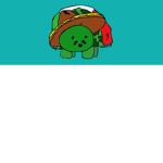 Mexican Turtle Group!