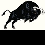 Bull Fighting Simulator!