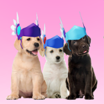 Group Thumbnail