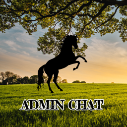 Admin's chat