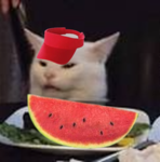 Salad cat fans
