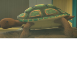 Turtle awareness club