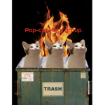 Pop-cat hate group