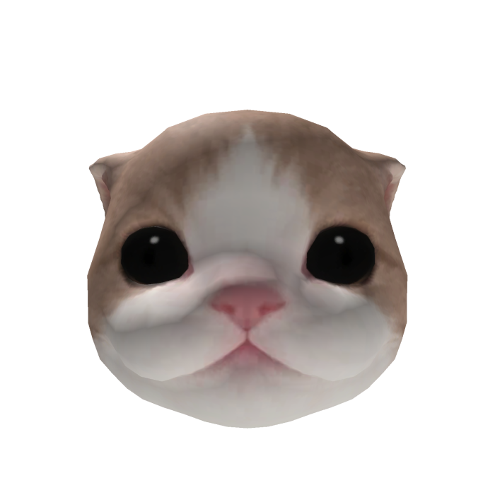 Little Kitten Head
