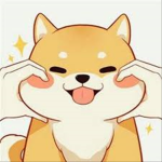 ♡ ❀ Corgi Squad ❀♡