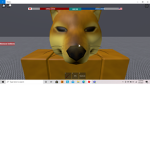 DOGGOS are epic
