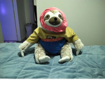 Sloths are sick