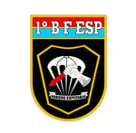 [BFEsp] Batalhão de Forças Especiais | NovaCity