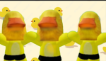 Real ducky’s squad