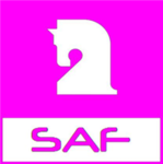Stealth Assault Force SAF: High Ranks