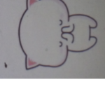 Cat cat hi