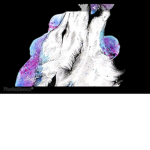 Galaxy#######