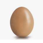 eggeggegg