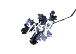 SenpaiCloudyyy's Realm