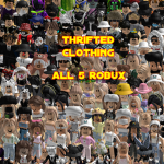 Thrifted-Clothes