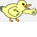 Little duckies <3