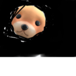 Is jomodon
