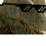 Easy.pz