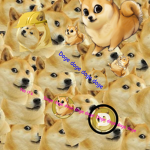 Doge is cool