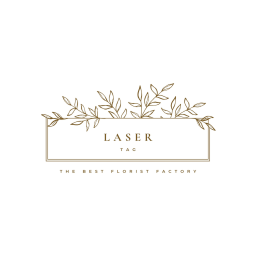 Laser Tag 🏭✨ (UPDATE)