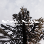 RoGuesty's Productions
