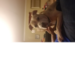 KENZ_MEOW