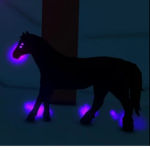Nightmare Riders of Horses