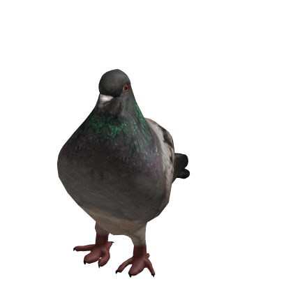 Realistic Pigeon Costume