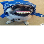 Goofy boy all day