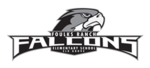 falcons