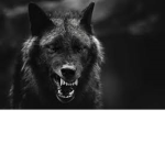 Wolfsnipertwin1 gaming army