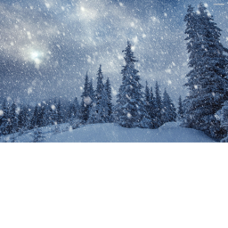snow admin