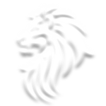 Lions Attire