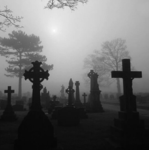 mournedd