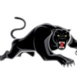 NRL 4 life