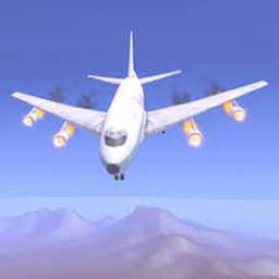 Survive The Plane Crash