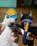 ZawgStudios