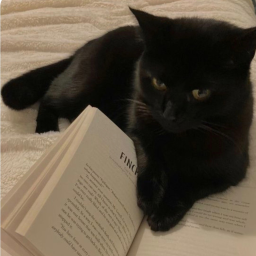 🐾