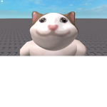 the coolcats club