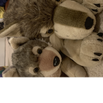 Dragon and Wolf gang