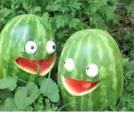 The Water Melon Army