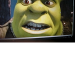 Shreks assemble