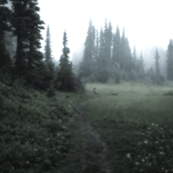 Fish In A Forest (BETA)