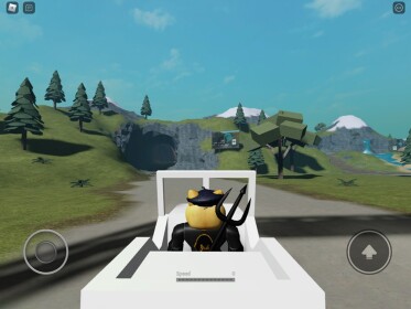 Doge Racing 