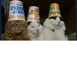 Applecats