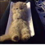 Sleeping<3