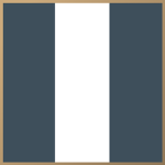 Fisch's Revolutionary Corps
