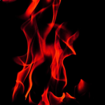 Rising Fire Group