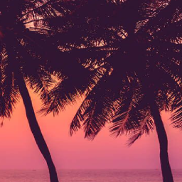 🌴