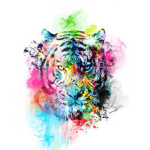 TIGER GAMING FANS